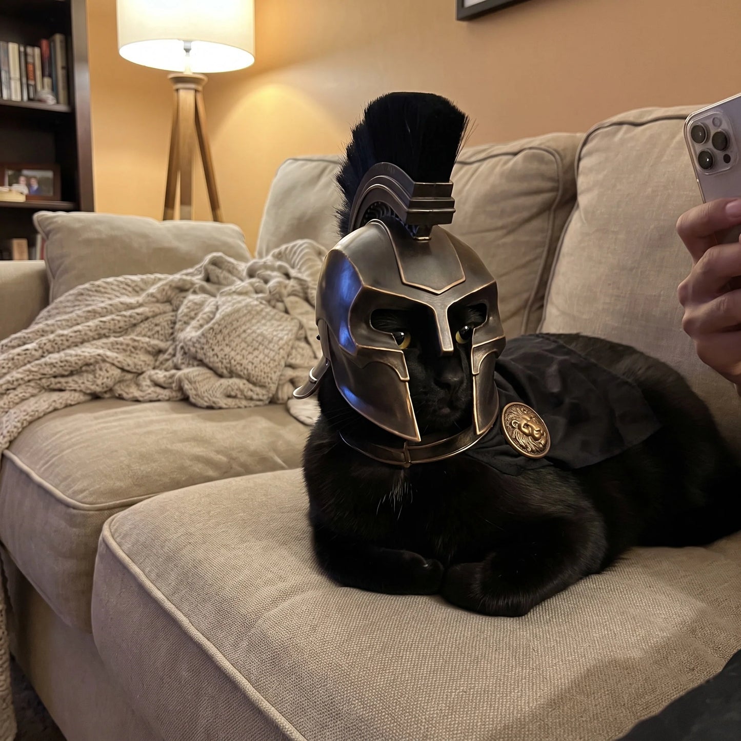 🎃Halloween Lantern Season, Armageddon Cat Helmet, Medieval Knight Cosplay Headwear, Funny Halloween Costume for Cats