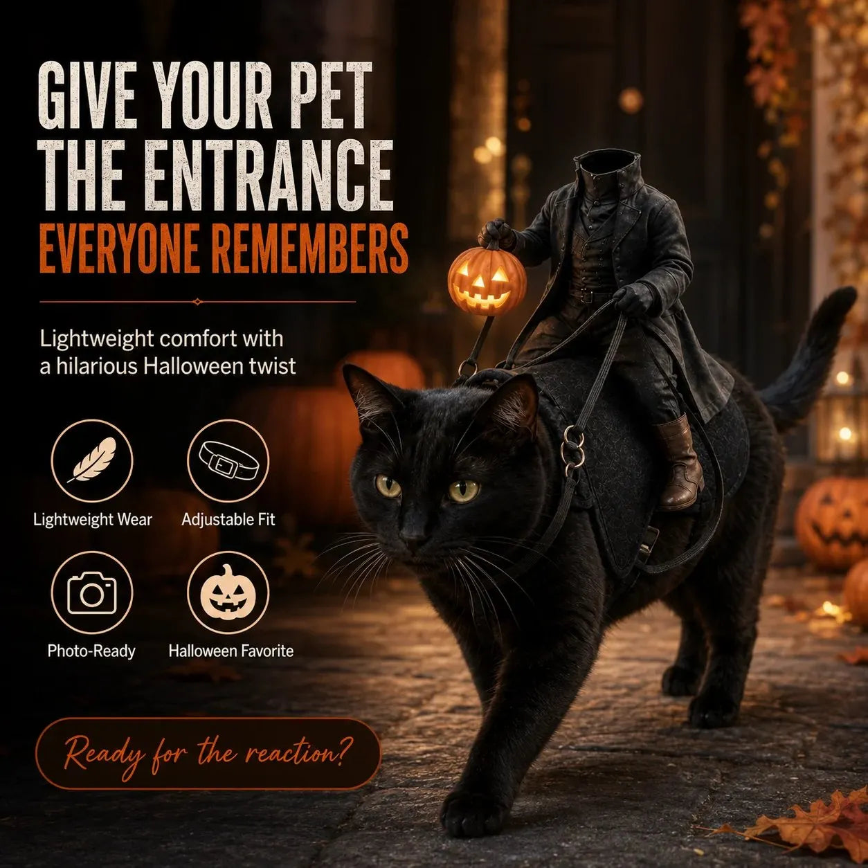 🎃Headless Horseman Rider Pet Halloween Costume for Dogs & Cats