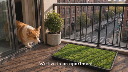 Dog Grass Pad with Tray - 16x20in for Apartment Balcony Use-Buy Now & Get a Free Extra Grass Pad!